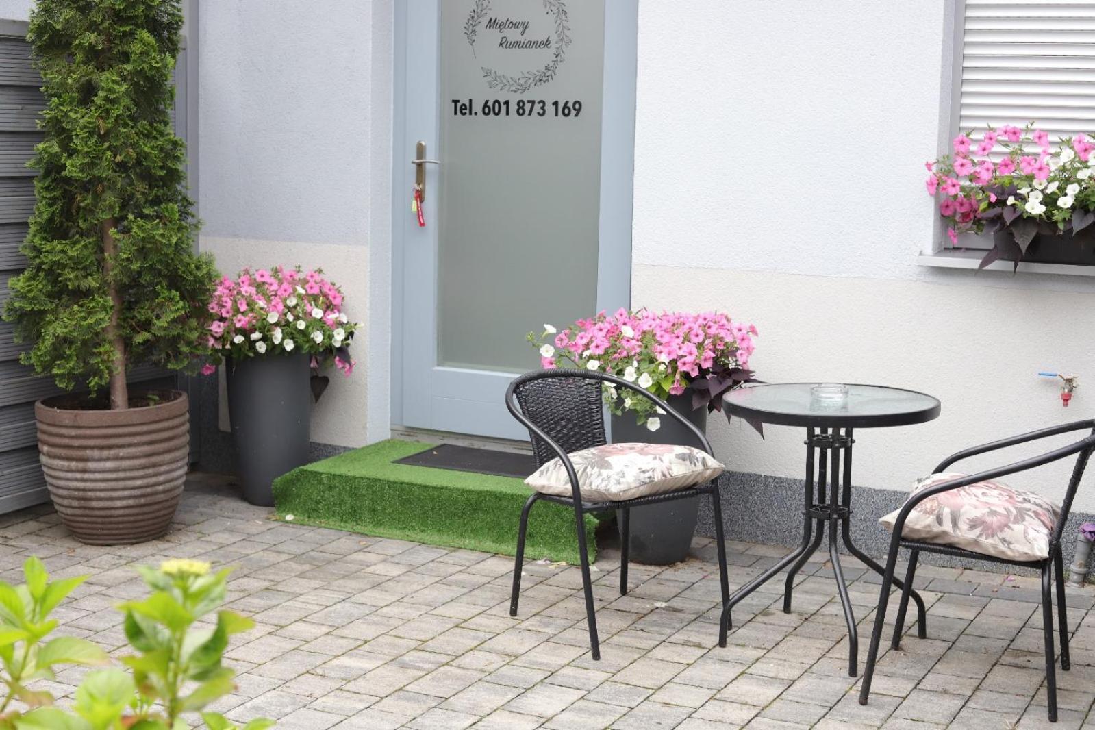 2 Apartament Mietowy Rumianek Lwowek المظهر الخارجي الصورة
